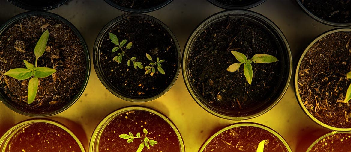 Sabe Em Que Fase De Maturidade Está A Sua Empresa?